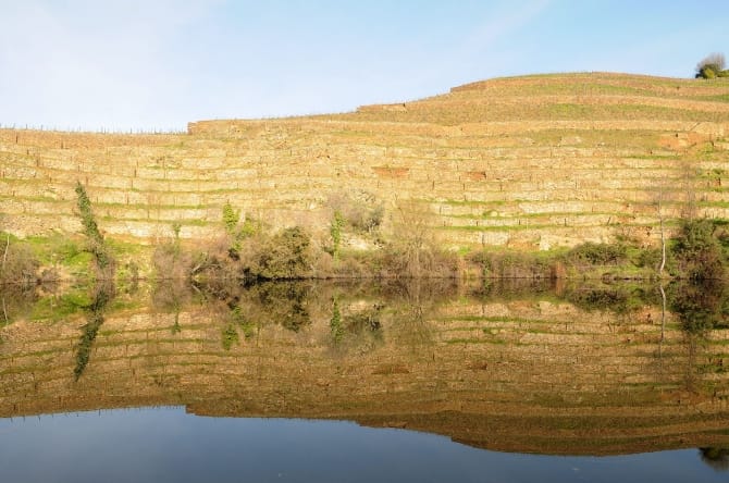 Quinta do Tedo, Coleção Museu do Douro/ Egídio Santos